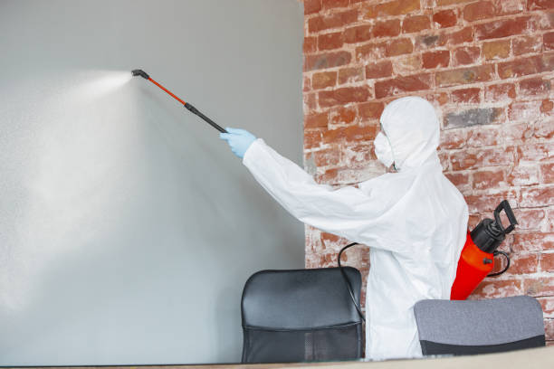 Best Residential Mold Inspection & Testing  in Castle Rock, CO