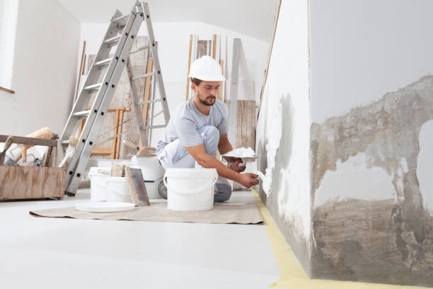  Castle Rock, CO Mold Removal Pros