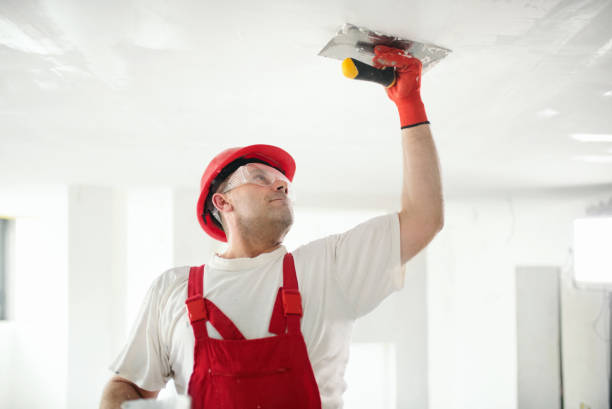 Mold Removal for HVAC Installations in Castle Rock, CO