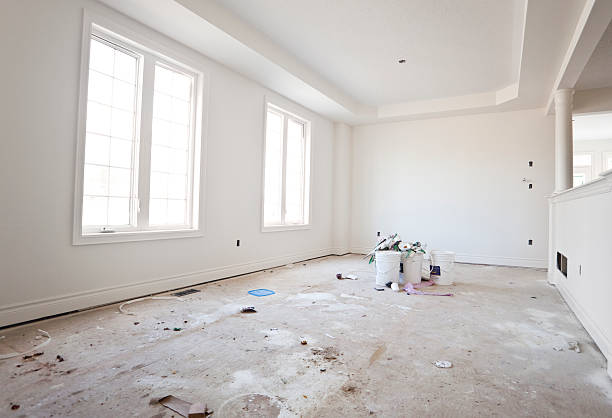 Best Mold-Related Health Consultation  in Castle Rock, CO