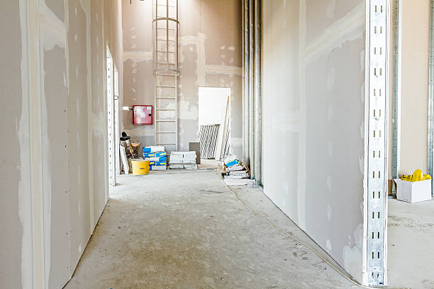 Best Emergency Mold Remediation  in Castle Rock, CO