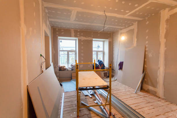  Castle Rock, CO Mold Removal Pros